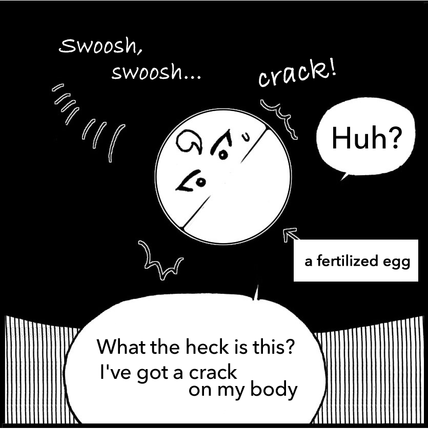 Series: Our Great Adventure – Episode 2<br />Celebration (2w)