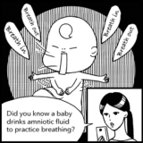 Series: Our Great Adventure – Episode 12 “Amniotic Fluid” (12th Week of Pregnancy)